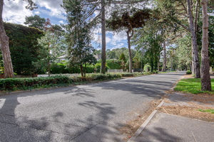 Street View- click for photo gallery